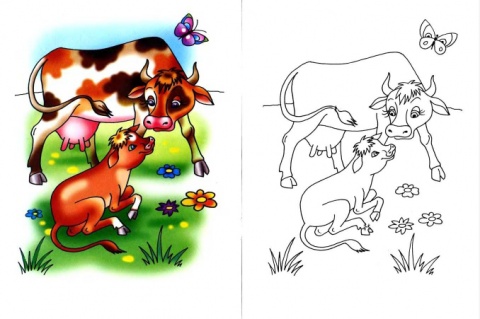 planse desene de colorat vaca vitel taur bou